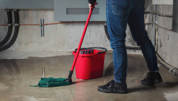 Best Sewage cleanup and water damage restoration  in Forest Heights, TX