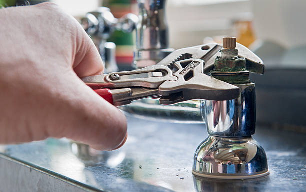 Best Water damage cleanup near me  in Forest Heights, TX