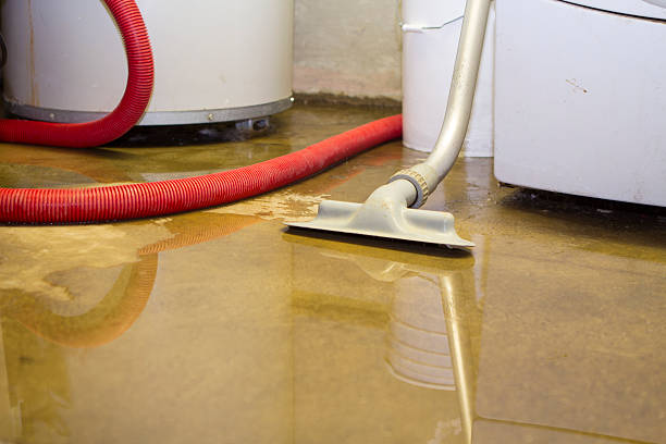 Best Flood damage cleanup  in Forest Heights, TX