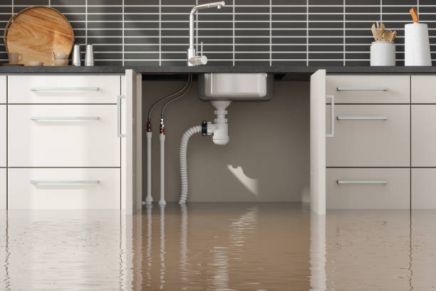 Best Flood restoration services  in Forest Heights, TX