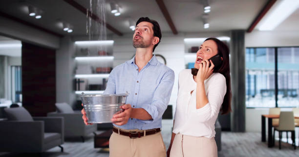Best 24/7 water damage repair  in Forest Heights, TX